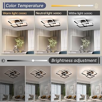 EIDISUNY Modern Ceiling Light LED, 50cm Black LED Dimmable Ceiling Lights Fixtures with Remote Control, Square Flush Mount Lamp for Living Room Dining Room Bedroom Kitchen Hallway Light - 40W [Energy Class E]