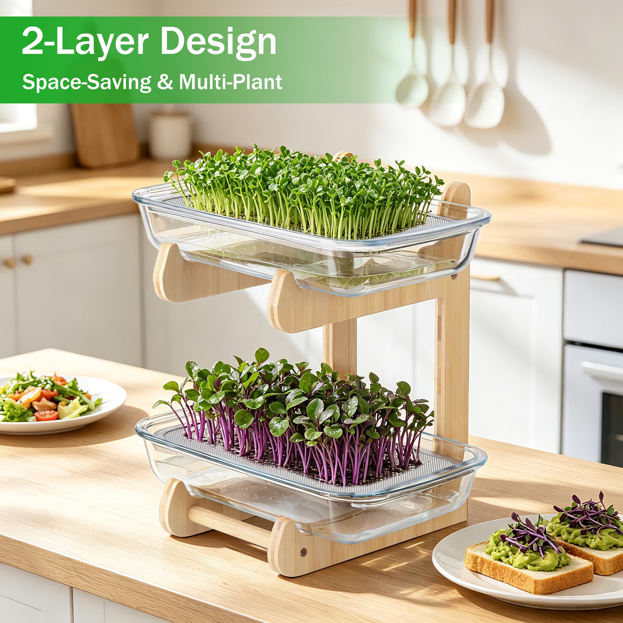 Sprossen Anzuchtset, 2 Böden Microgreens Anzuchtset mit 2 Glas Kresse Anzuchtschalen und Bambusständer, Microgreens Starter Set für Kressesamen, Sprossen, Brunnenkresse