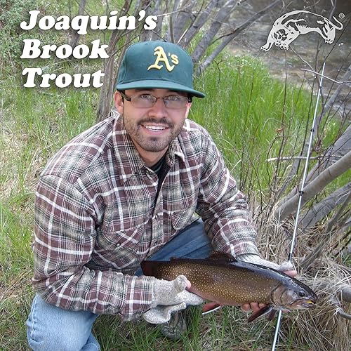 Miniatura 4 de Panther Martin Patrones clásicos de lágrima Spinners señuelo de pesca atrapa trucha, lucioperca, almizclado, latón de boca grande, perca, salmón y