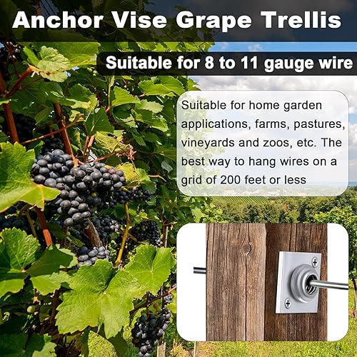 Miniatura 7 de Chumia 5 piezas de tornillo de anclaje de calibre 9 para apretar enrejado de uva de calibre 8-11 con tornillos galvanizado de alambre sólido