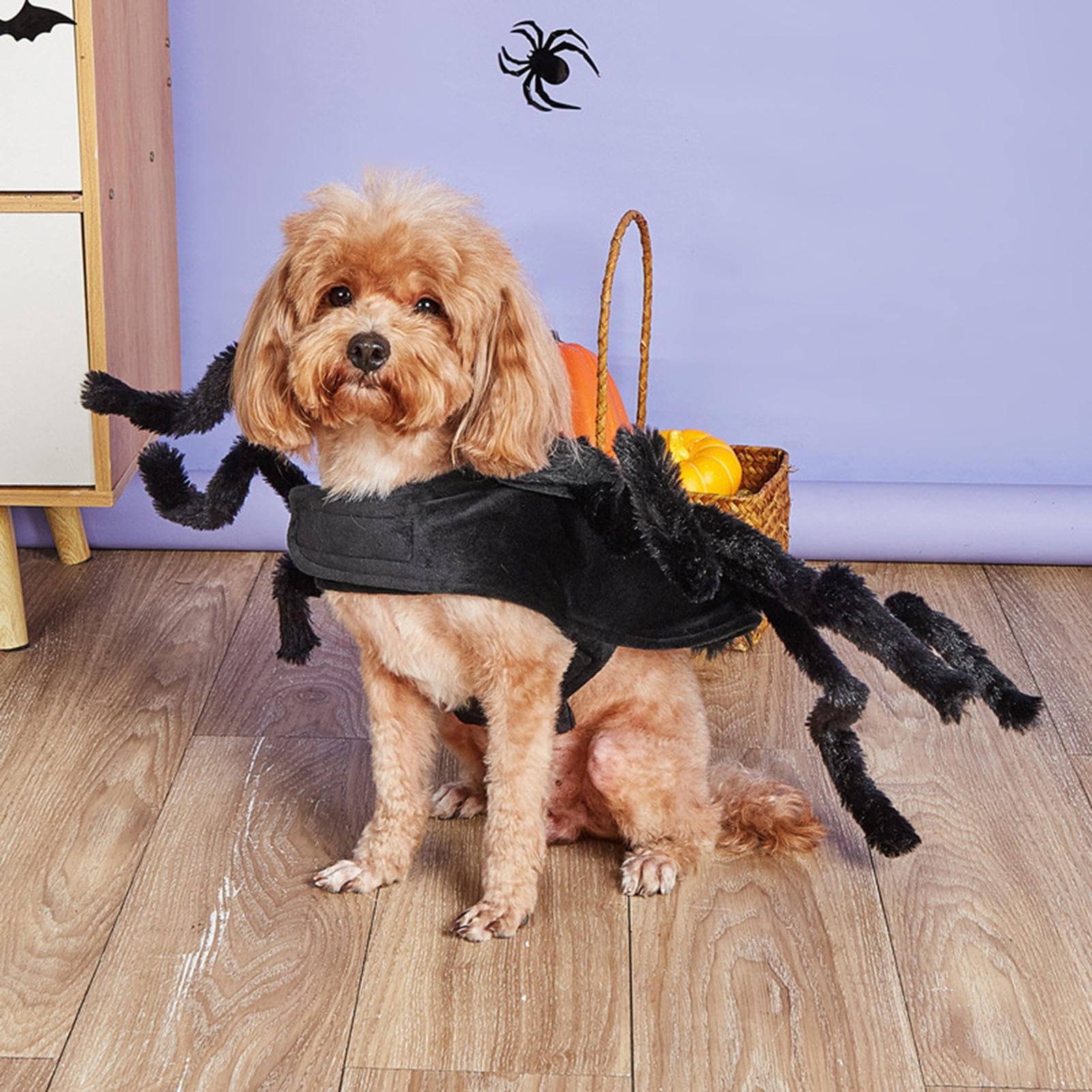 Hundekostüm Halloween Spinne | Mit LED-Beleuchtung | Lustiges Cosplay Für Hunde Mittelgroß Bis Groß