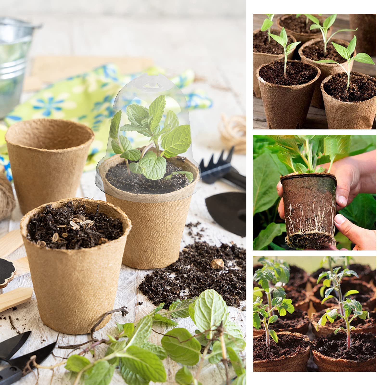 20pcs Semilleros Germinación Biodegradables Macetas Semillas para Germinación con Tapa Transparente Maceteros Biodegradables Pequeñas con Agujeros para Plantar Invernadero Huerto Jardín
