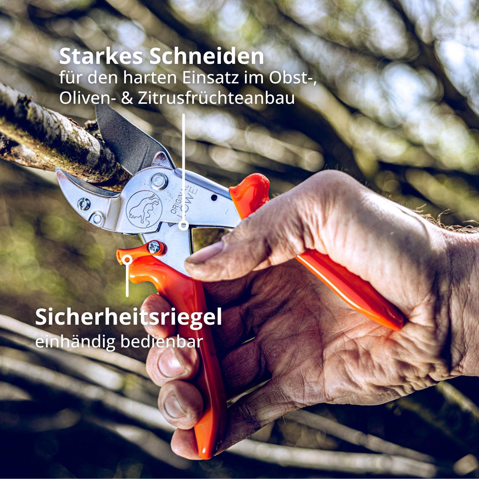 Original LÖWE 10 Profi Amboss Gartenschere 10.107 mit Bypass Geometrie - innovative scharfe Schere mit ergonomischen Griffen und Antihaftbeschichtung an Stahl-Klinge für Schneidarbeiten im Obstbau