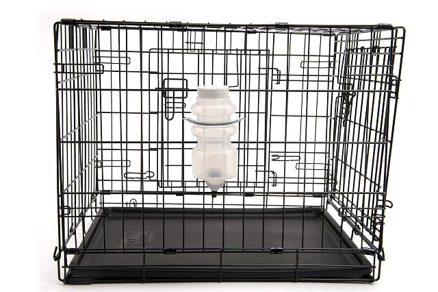 Foto 6 de 6 de Lixit Top Fill - Botellas de Agua antigoteo para Perros (16 onzas líquidas (Paquete de 1), Color Blanco