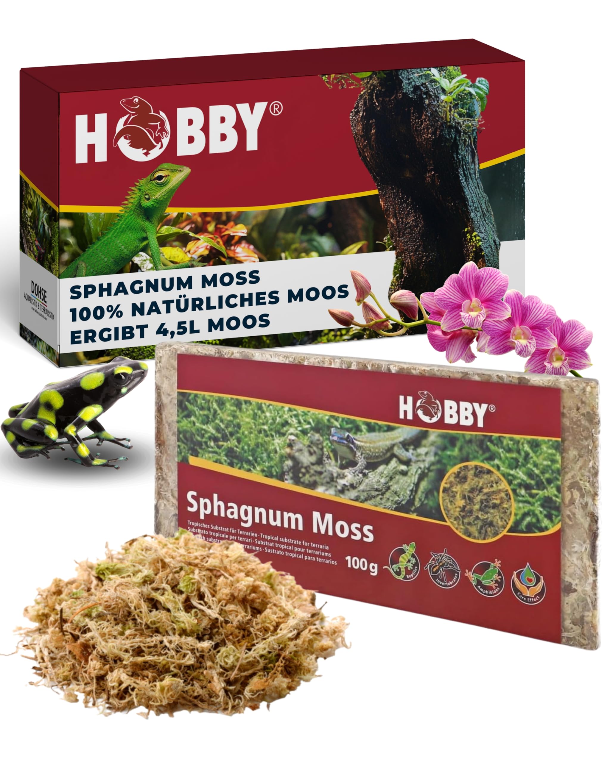 Hobby Terraristik Sphagnum Moss I 4,5 Liter (100g) I tropisches Substrat für Terrarien und Orchideen I Moos für Terrarien I 100% natürlich, ohne chemische Zusätze I zur Erhöhung der Luftfeuchtigkeit