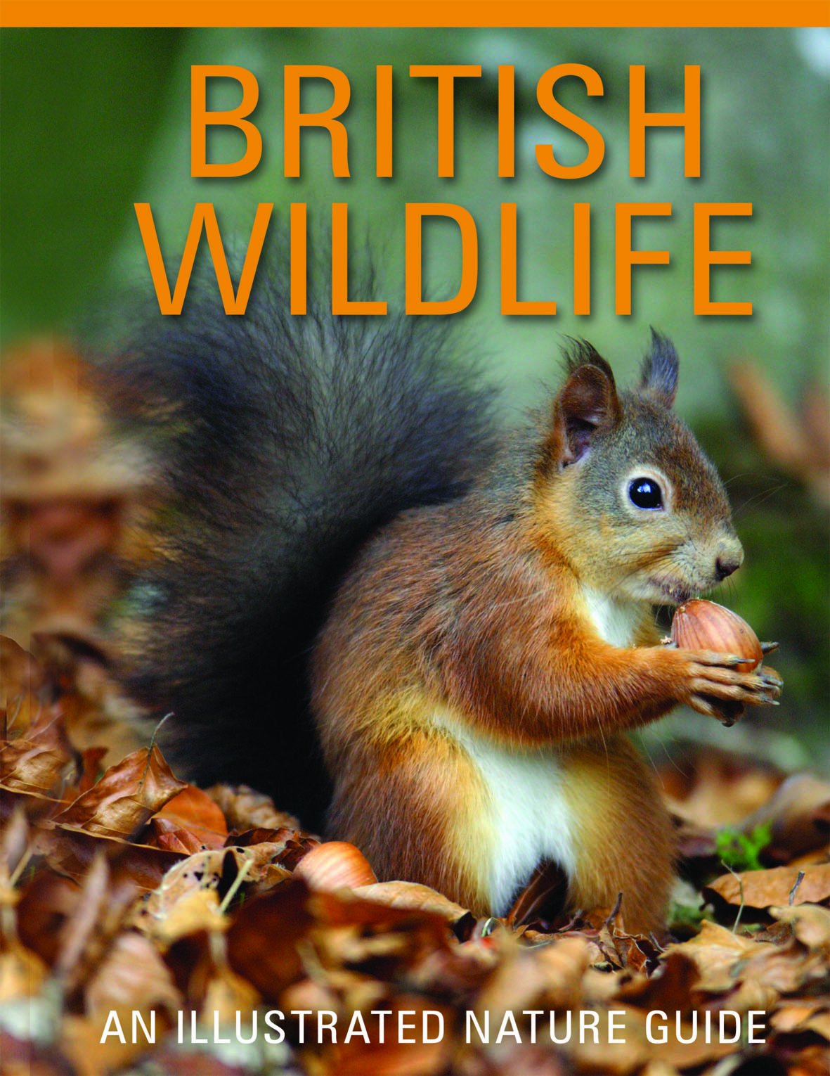 Amazon | British Wildlife | Ecology