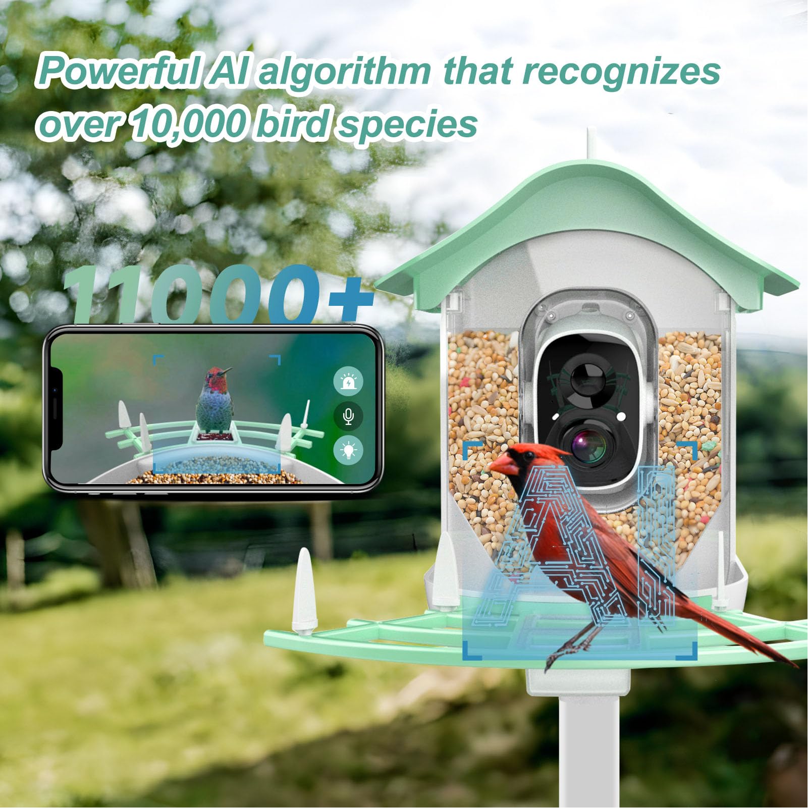 Generic Mangiatoia per Uccelli Ad Energia Solare con Fotocamera 1080P Design Intelligente Wireless per Appassionati di Birdwatching All'aperto Elegante e Funzionale