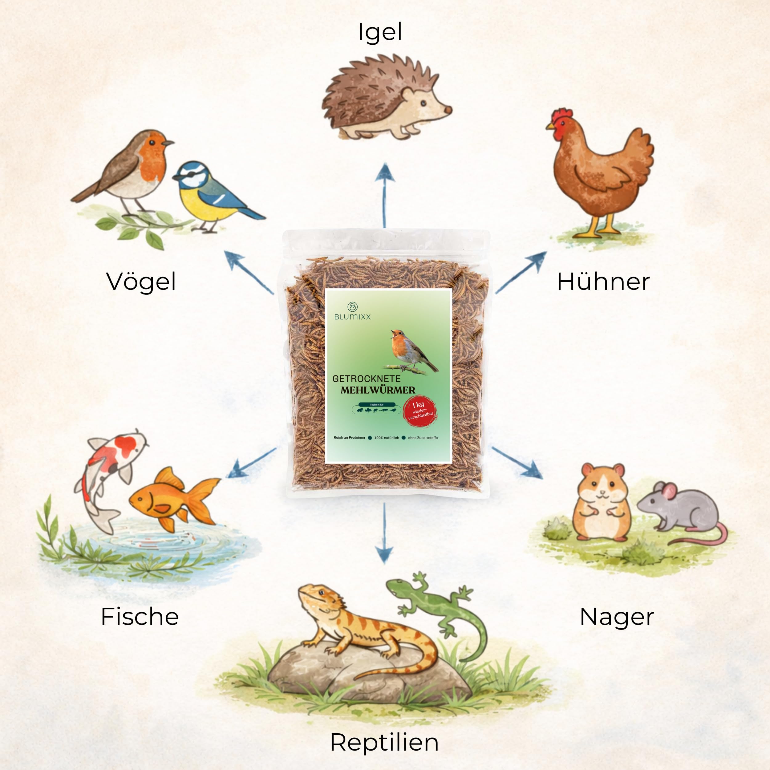 Blumixx Mehlwürmer getrocknet 2kg - Vogelfutter mit hohem Proteingehalt - ideal für Wildvögel, Hühner, Igel, Fische & Reptilien - Ganzjahresfutter für Garten, Terasse, Vogelhaus