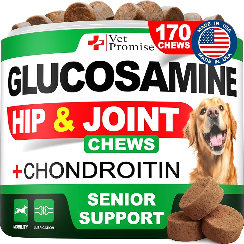 Glucosamine for Dogs - 170 Chews - Senior Hip and Joint Supplement for Dog | Glucosamine Chondroitin - Dog Hip & Joint Health Pain Relief Pills - MSM - Mobility Support Supplement - Made in USA