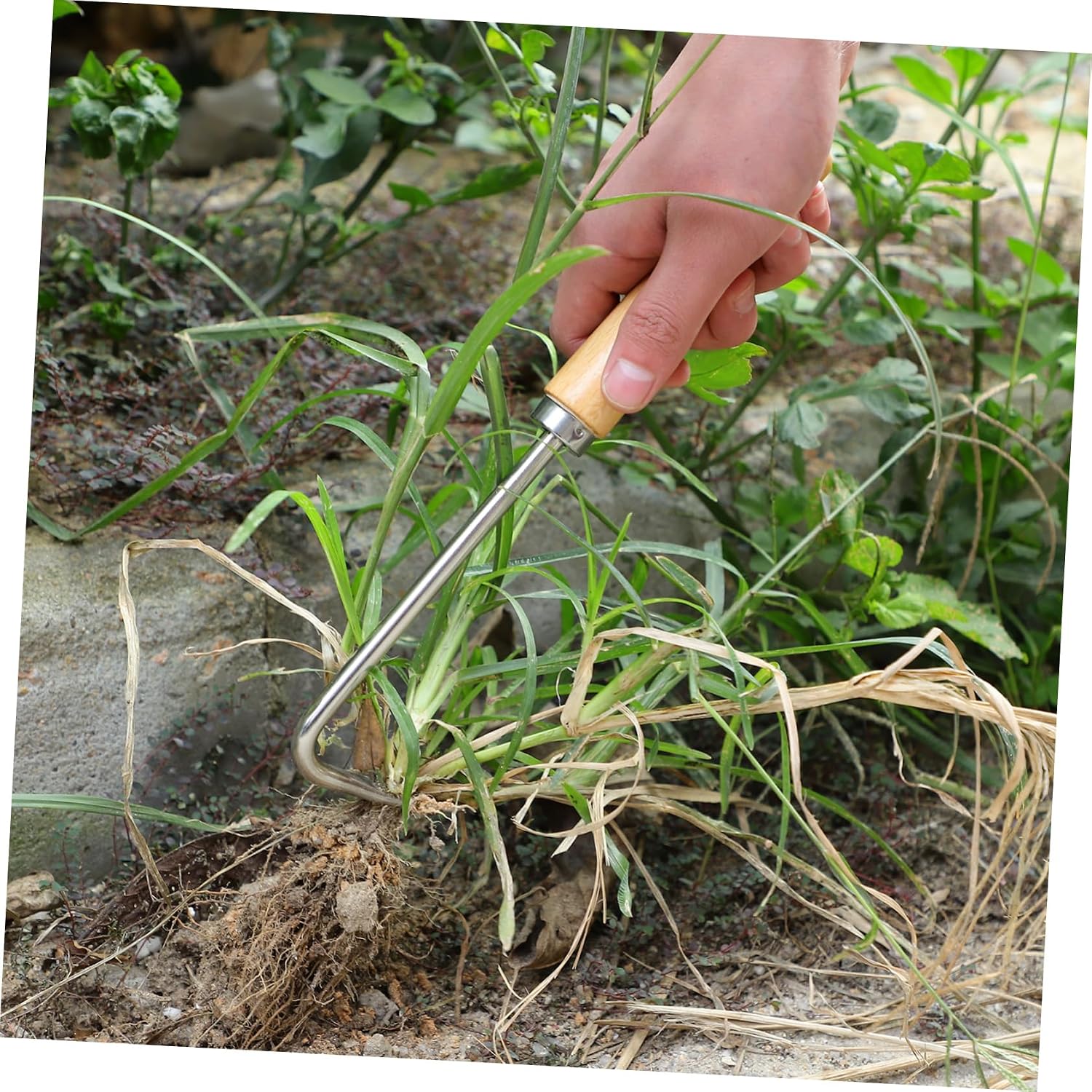 Handheld Manual Weeder Puller Tool with Wooden Handle and Iron image 3