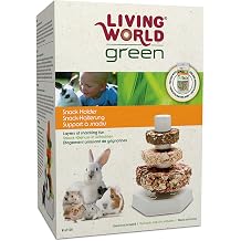 Living World Green Snack Holder