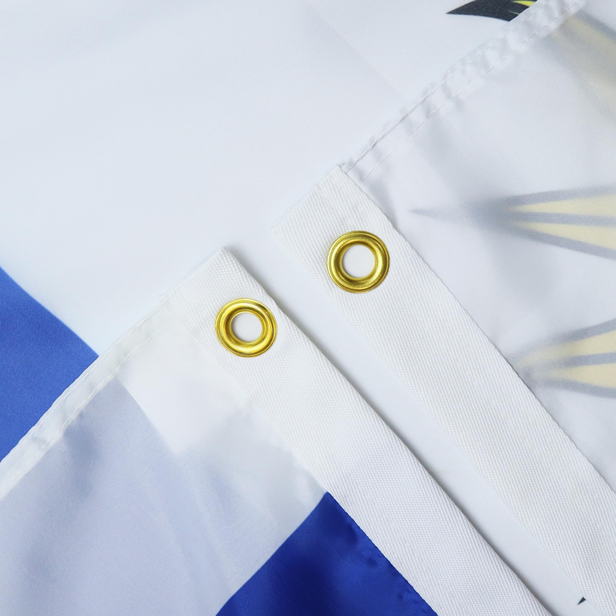 Amazon.com : AZ FLAG - Uruguay Flag - 2x3 Ft - 100D Polyester