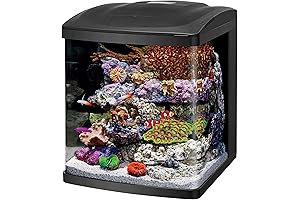 Nano Cube Aquarium: A Comprehensive Guide to the 16 Gallon LED BioCube Aquarium Fish Tank