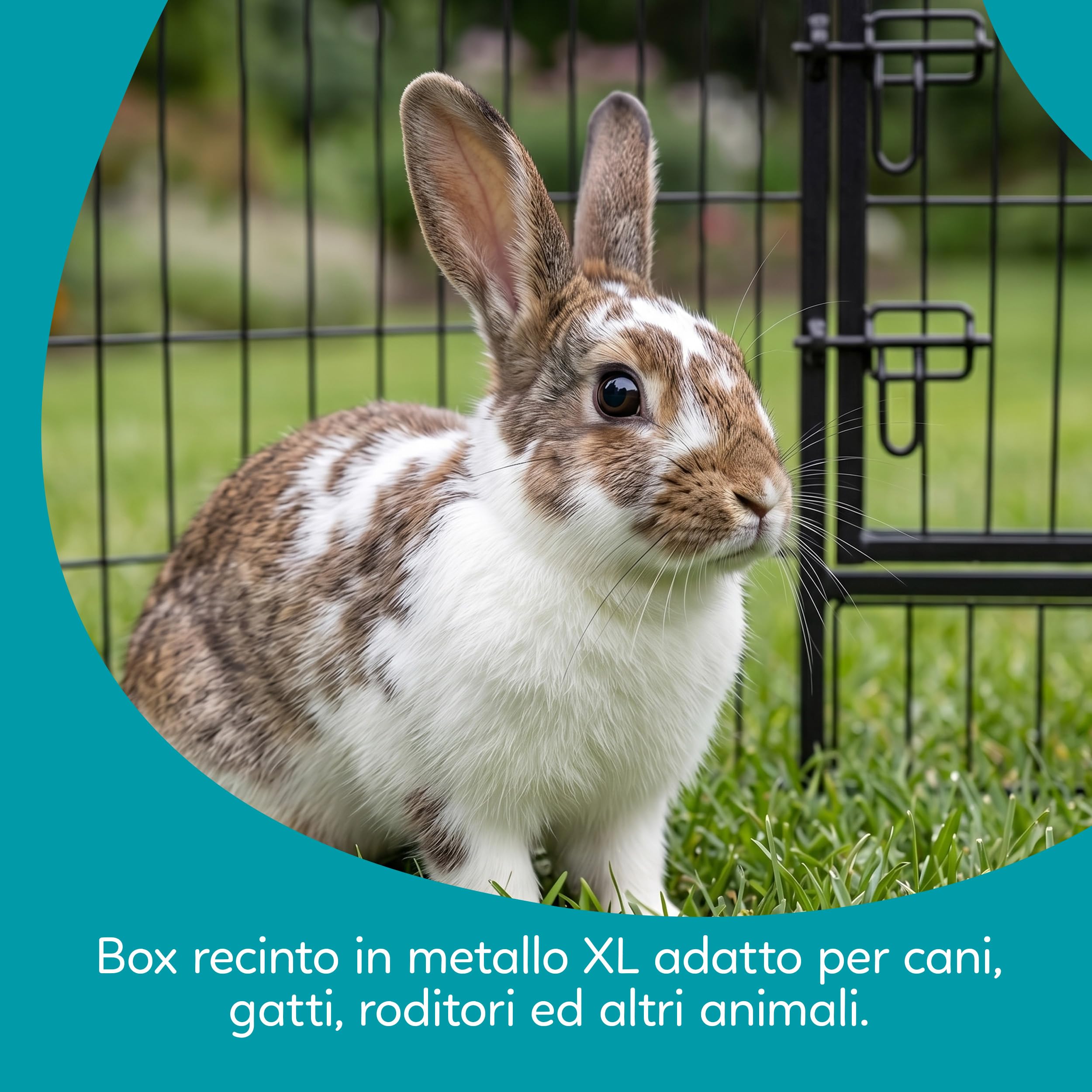 AQPET Recinto in ferro per Cani e Gatti Roditori 80x80 cm 8 Pezzi Per interno esterno da Giardino
