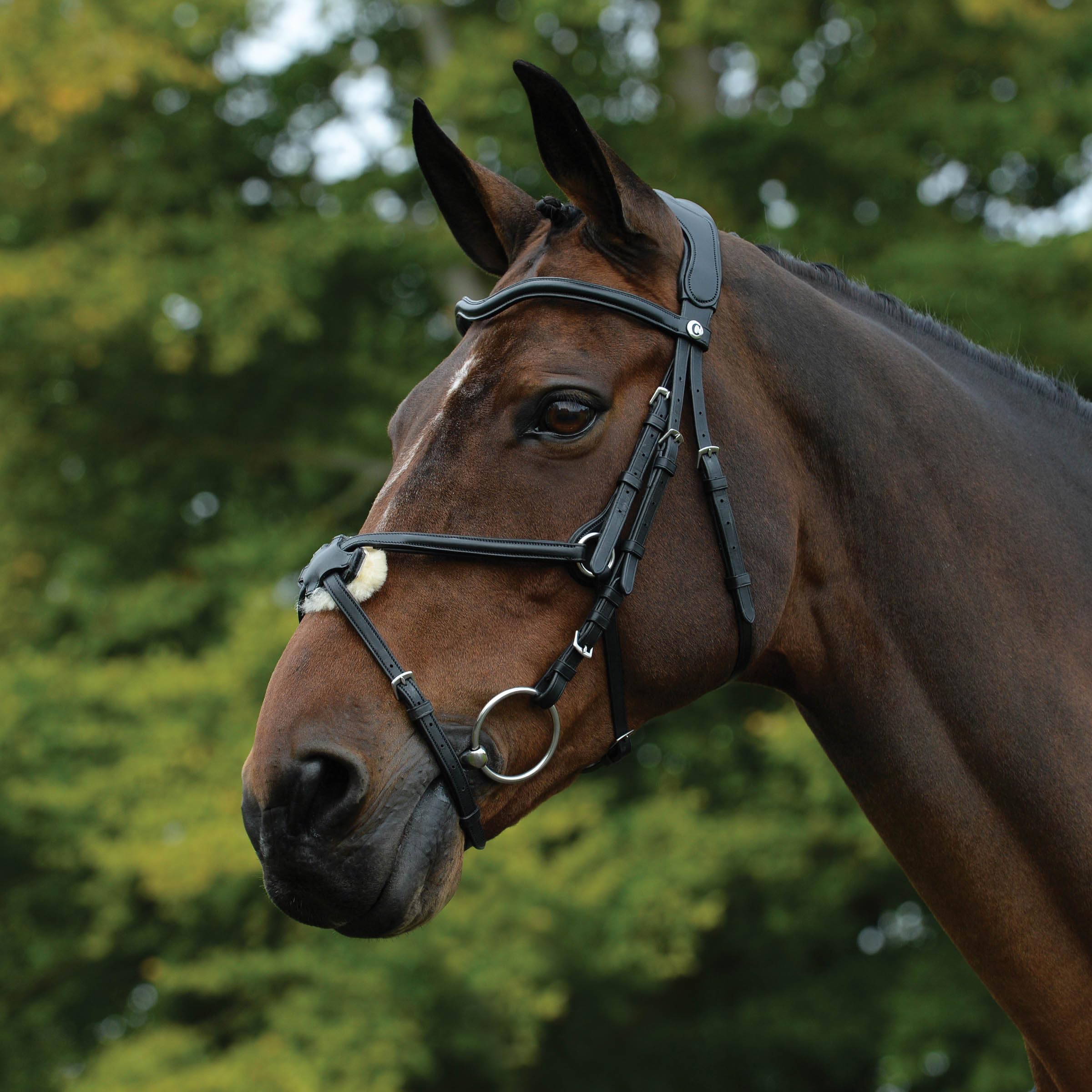 Collegiate ComFiTec Grackle Bridle, Black, Warmblood