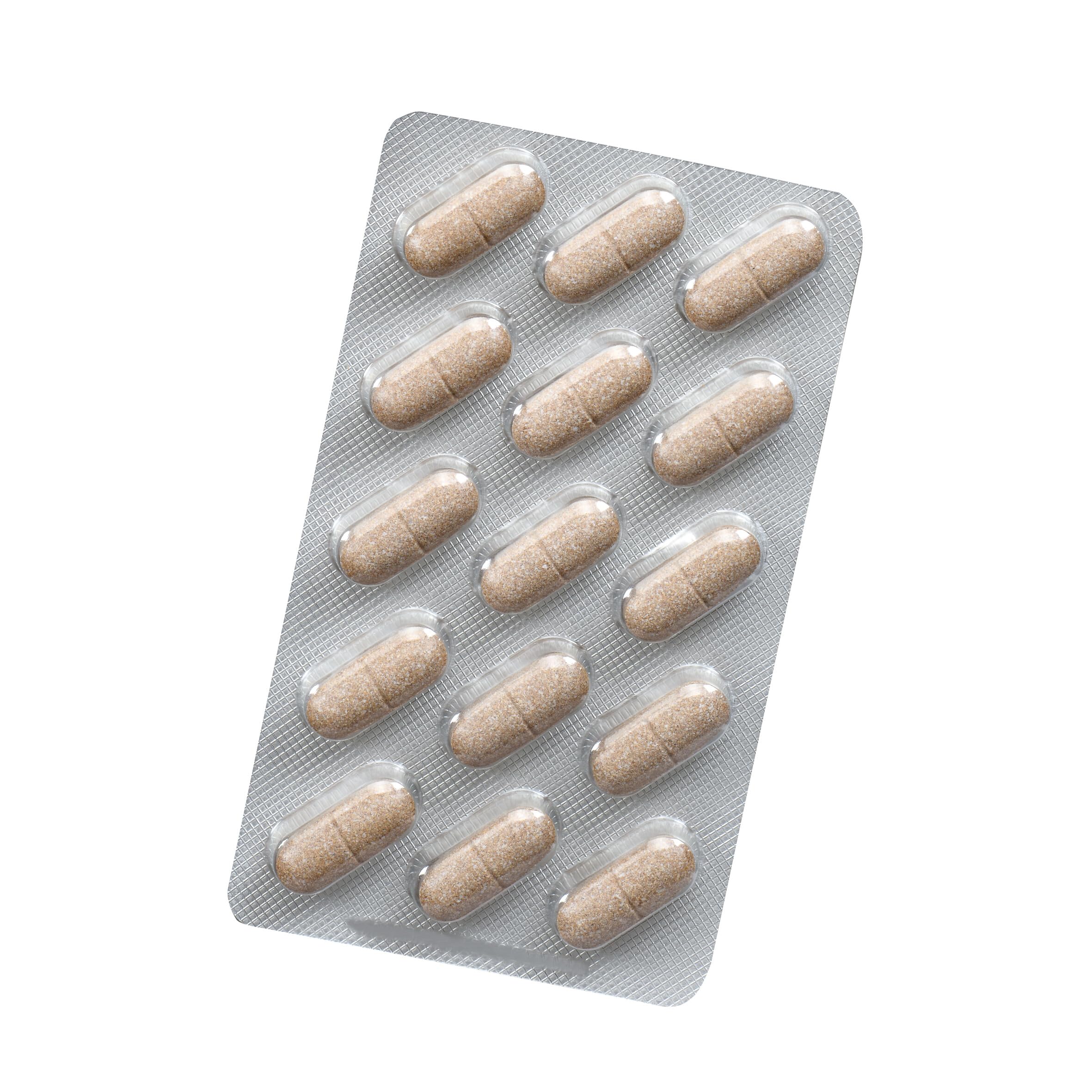 Salus - Momordica Tabletten - 1x 90 Tabletten (112,5 g)