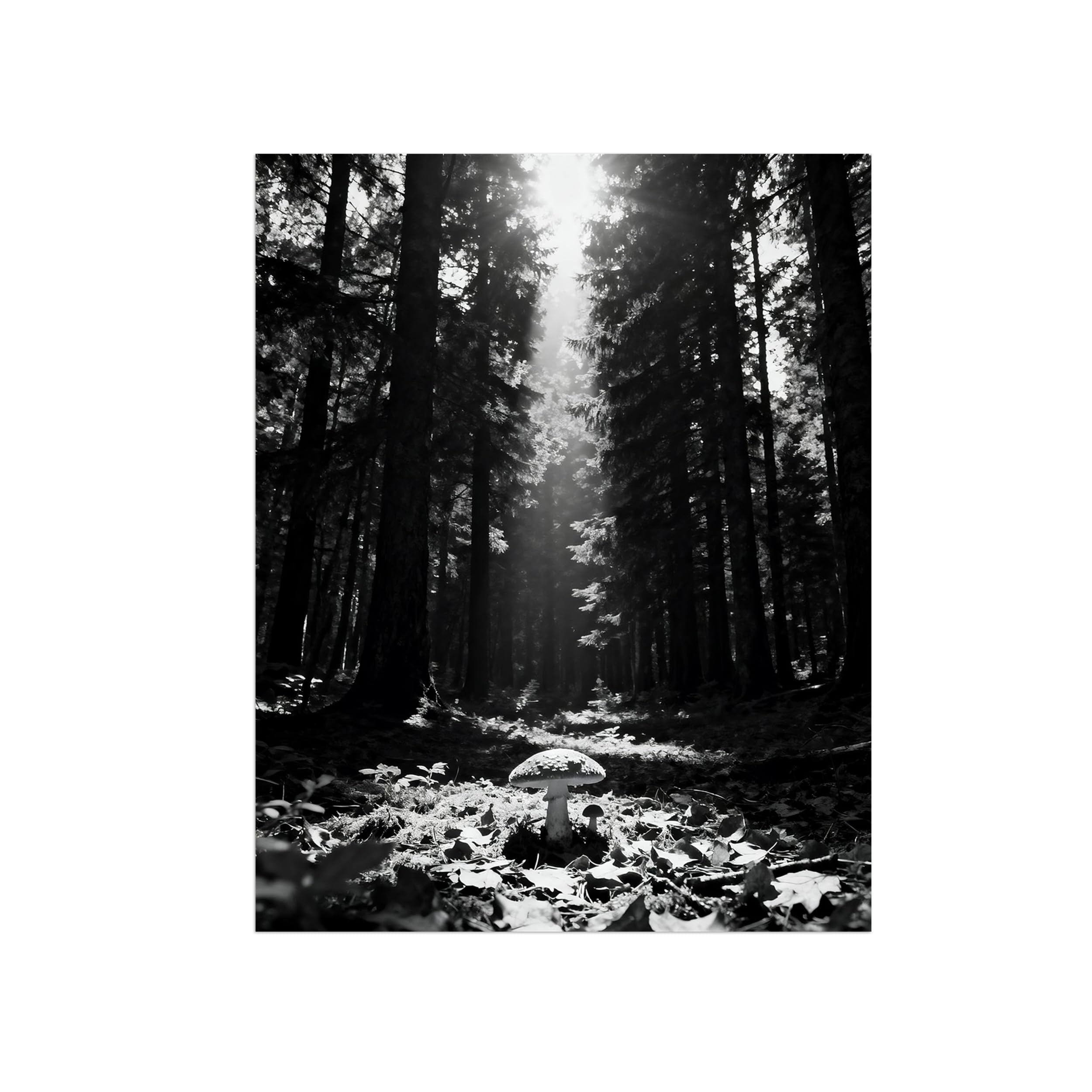 Black White Landscape Wall Art. Forest Sunshine 2. Picture 70x90cm Framed