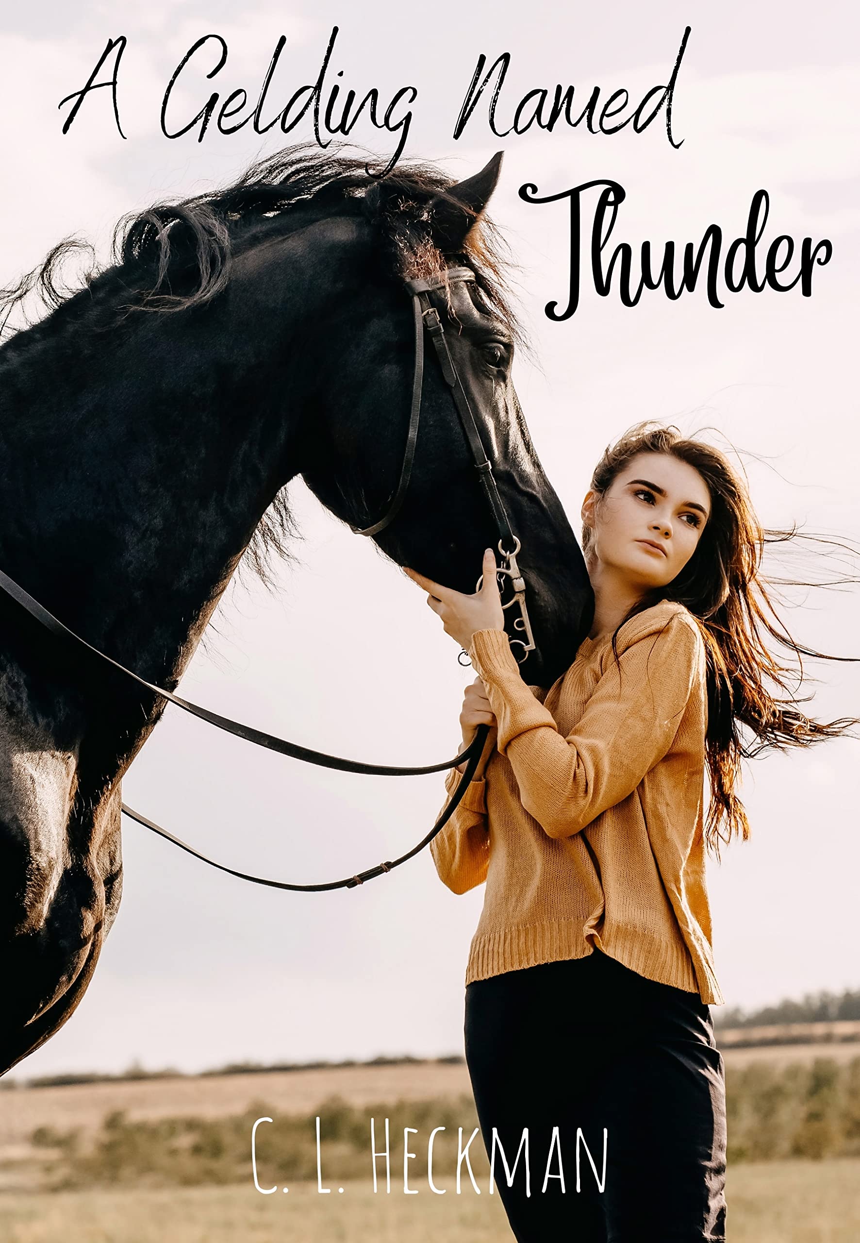 A Gelding Named Thunder: Book 1 of The Morning Star Stables series