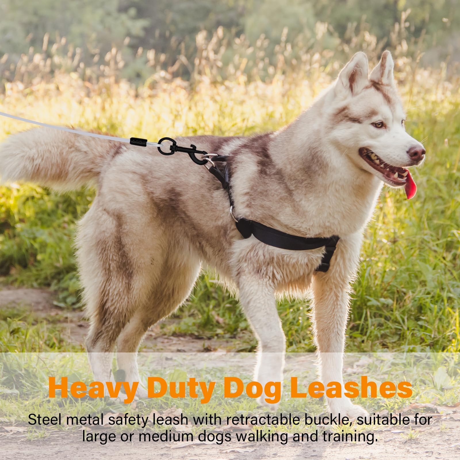 View 6