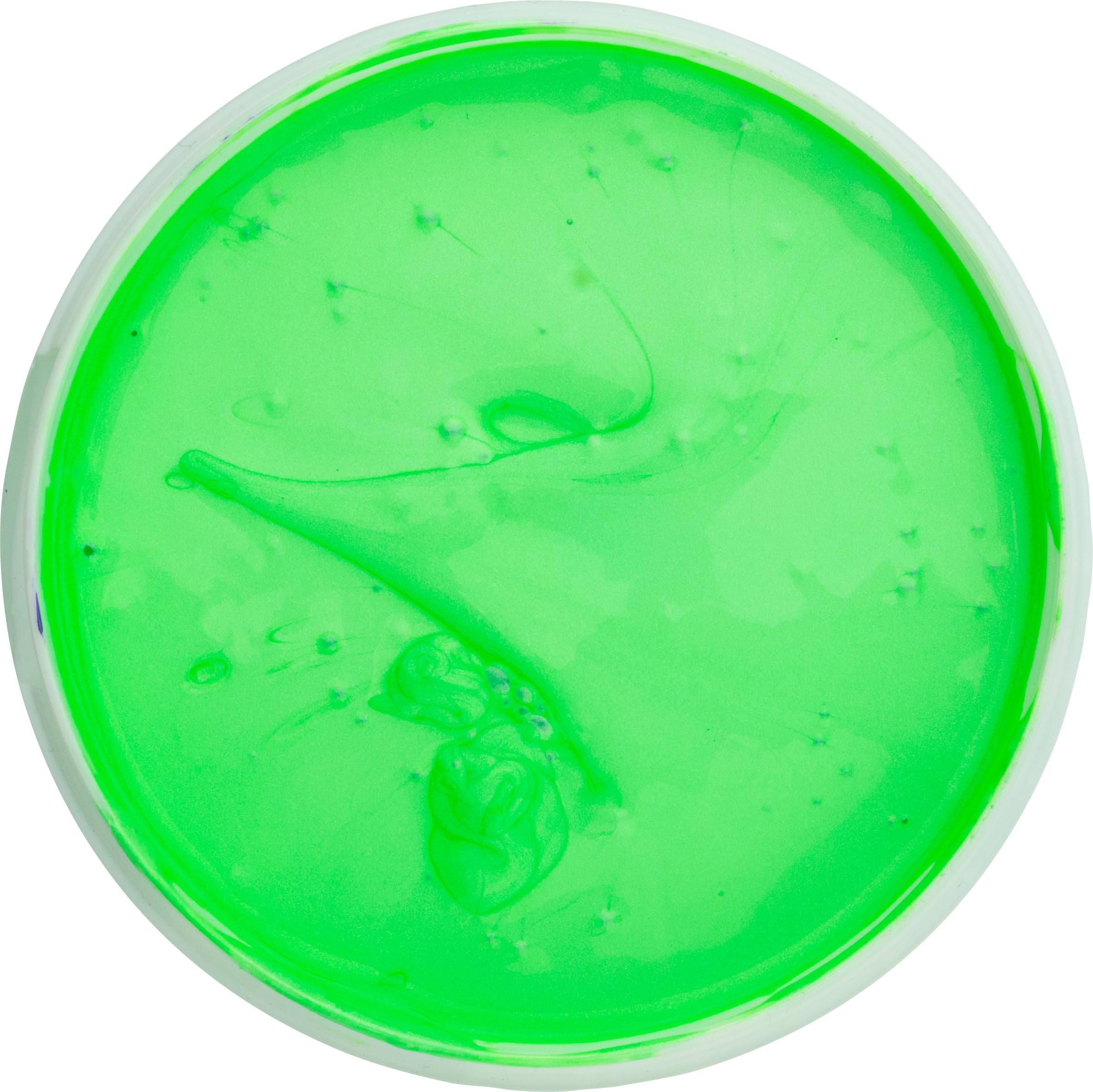 Perfectly Opaque Pearlescent Metallic Screen Printing Fabric Ink (Apple Mint, 300g), 100 ml