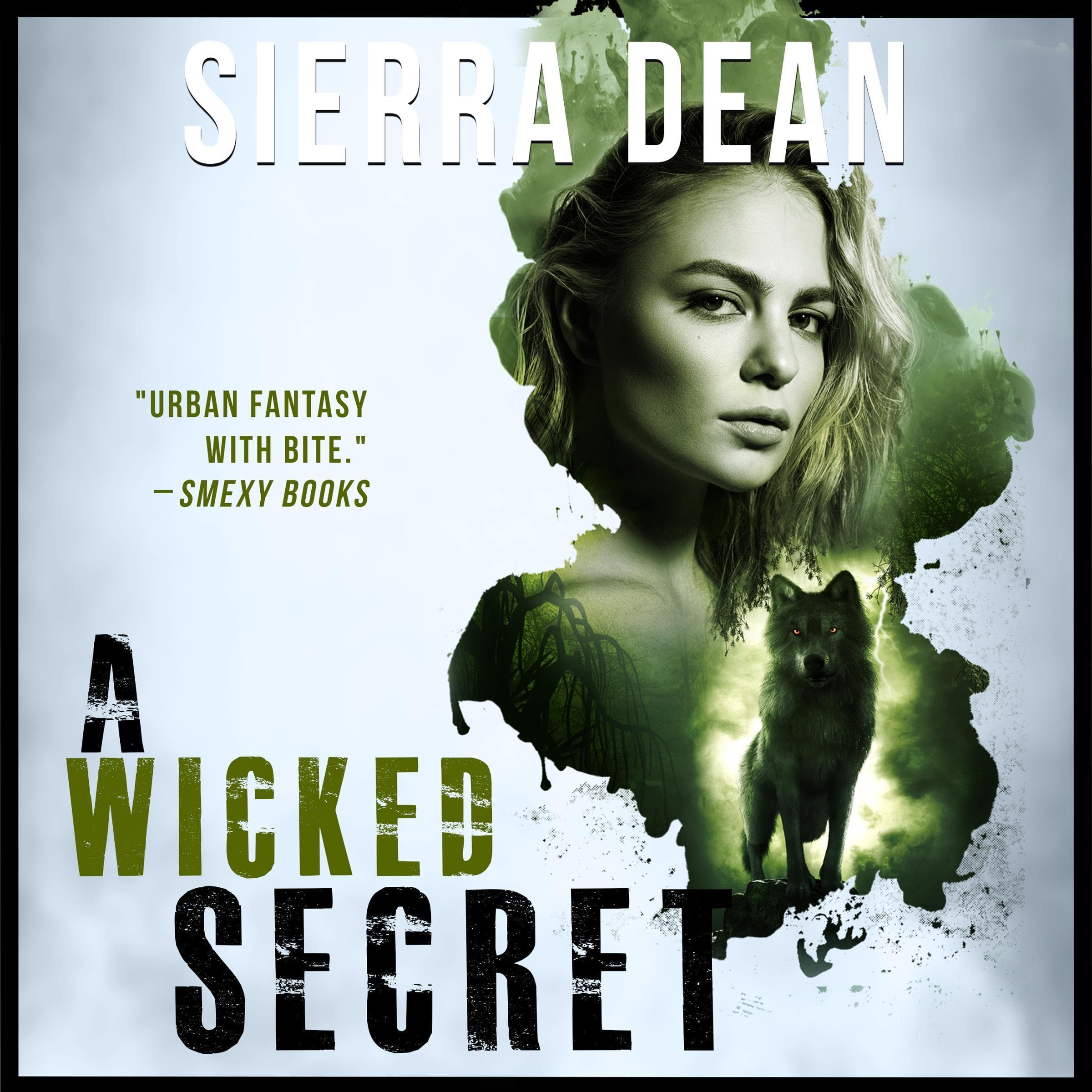 Cover art for A Wicked Secret