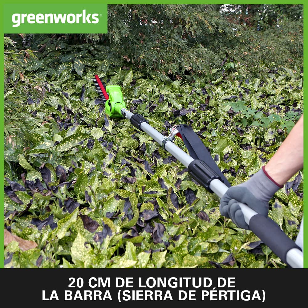 Greenworks G24PSHK2 2/1 Sierra y Cortasetos Pértiga a Batería, Correa Hombro, Barra Pértiga 20cm, Cortasetos 51cm, Cuchillas Doble Acción, Batería 24V 2Ah y Cargador, 3 Años de Garantía