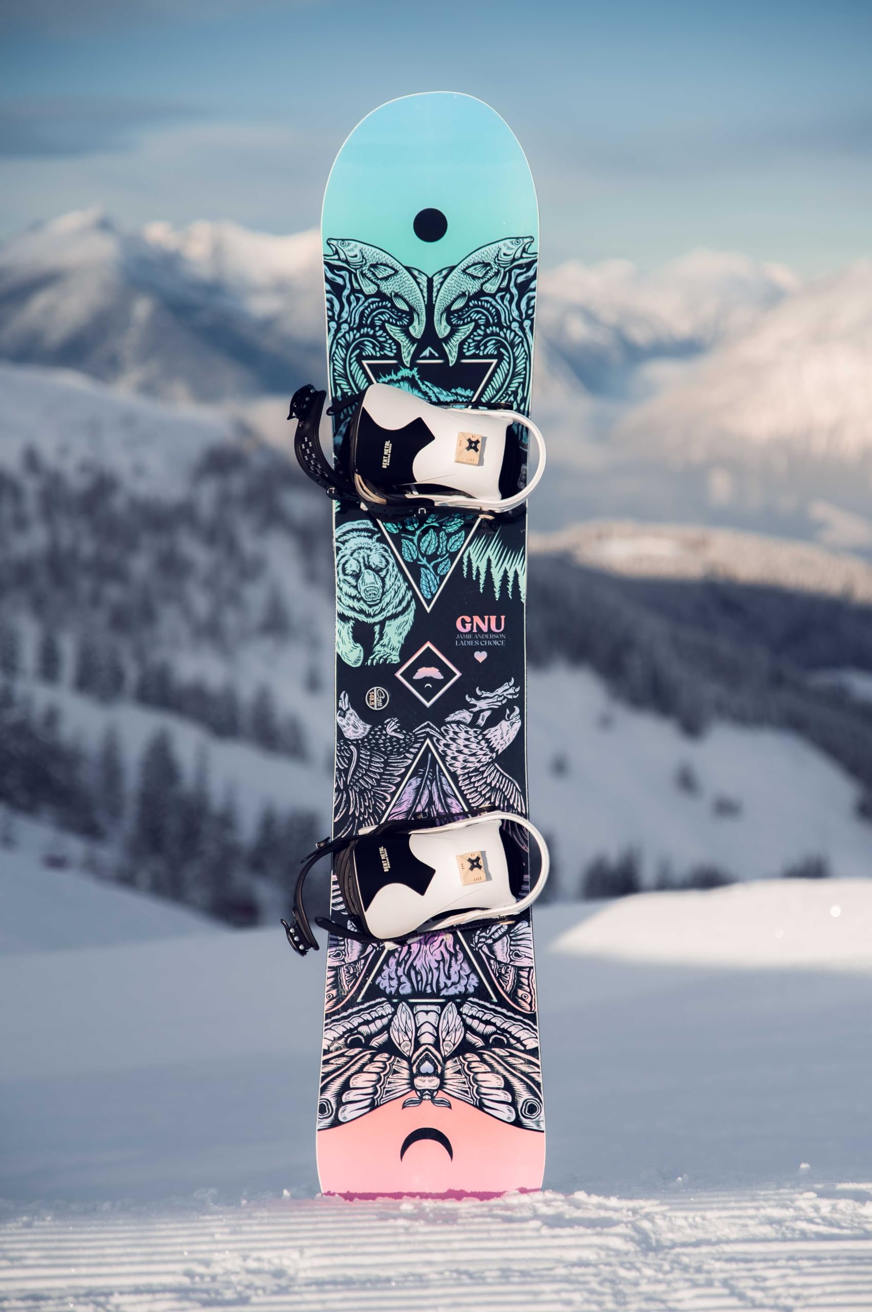 Gnu Ladies Choice Damen Snowboard, 139.5 : Amazon.de: Sport & Freizeit