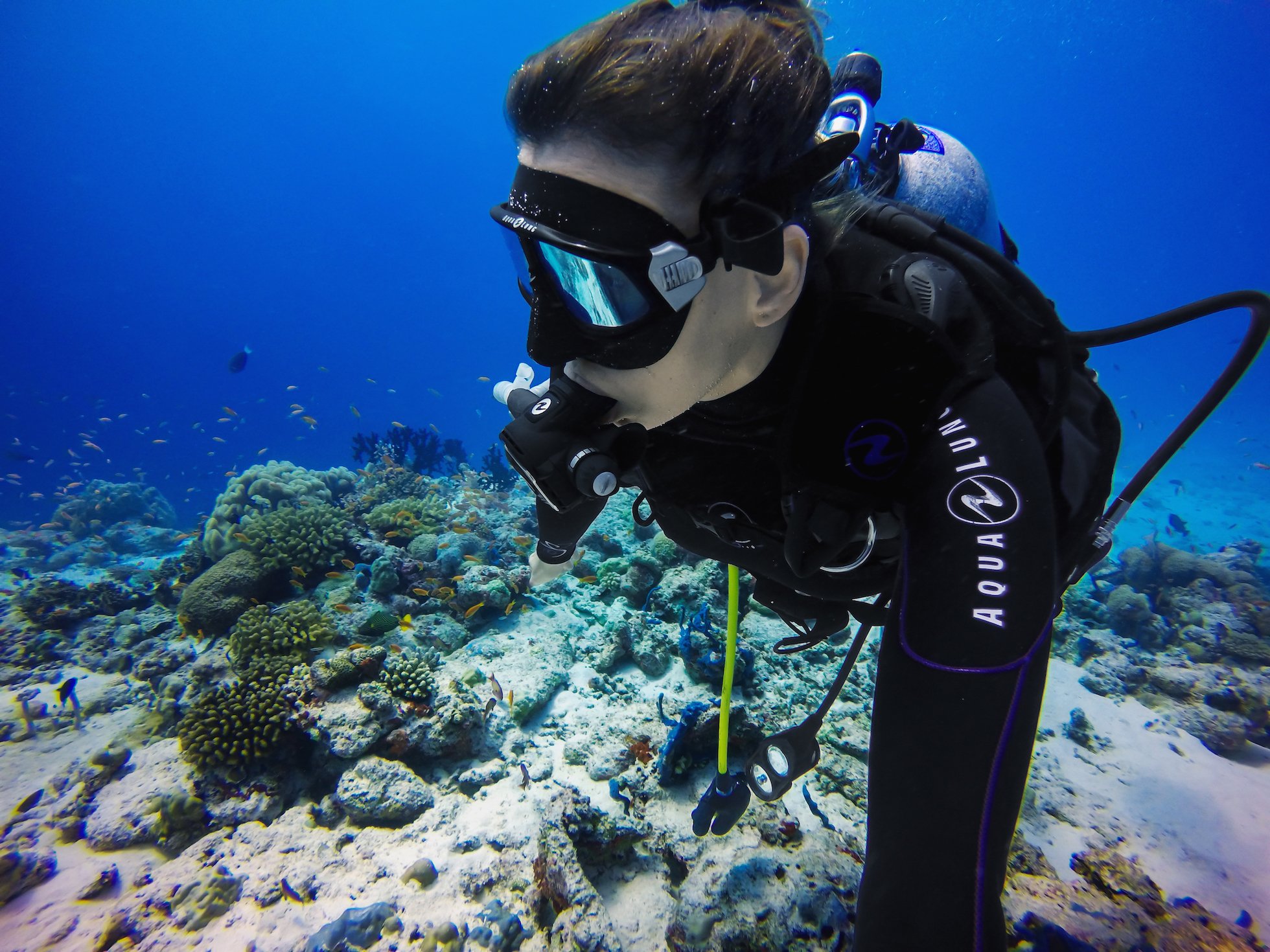 GoPro AAHDM-001 Filtro per Immersioni in Acqua Verde per Super Suit, Nero