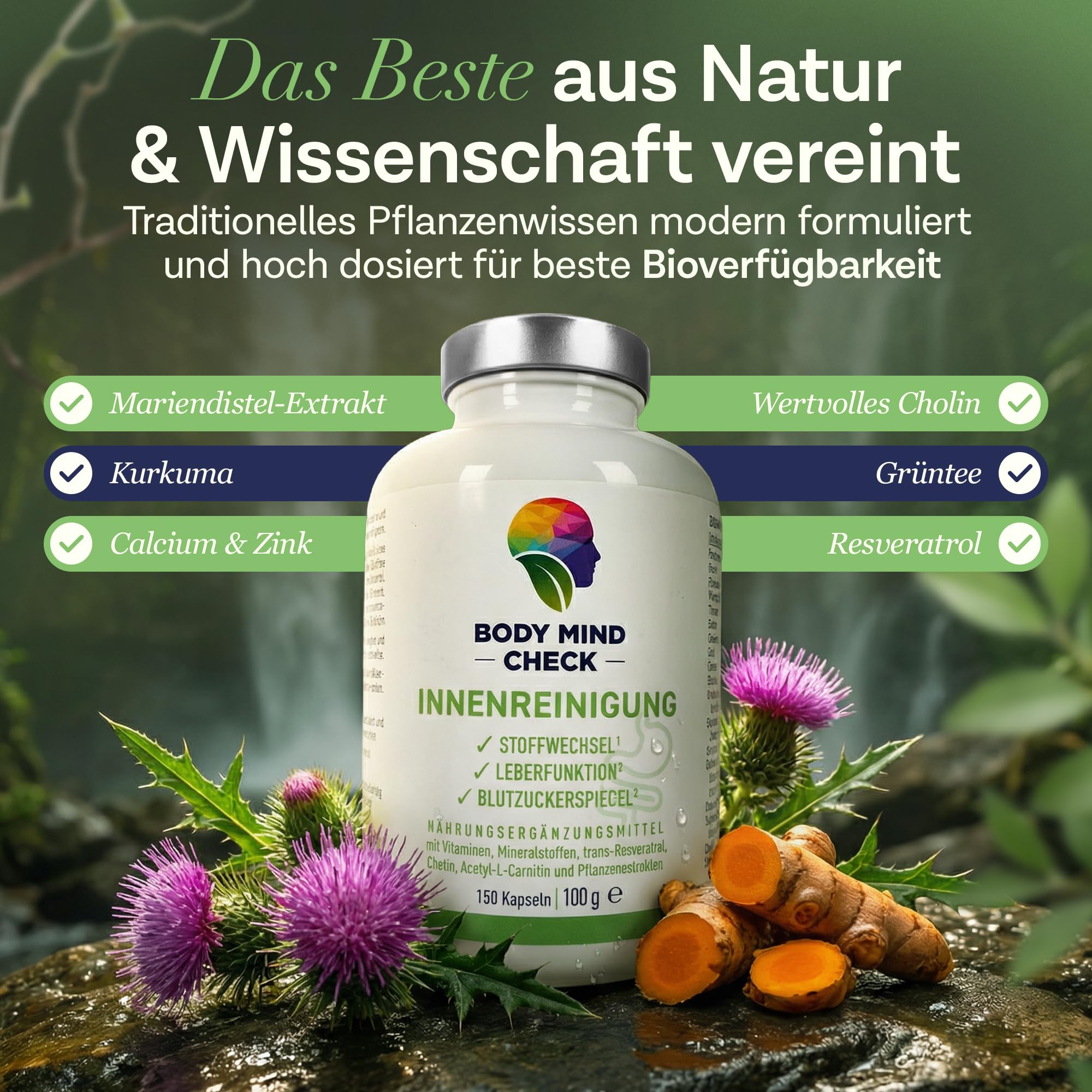 INNENREINIGUNG - Leber Kur Mariendistel Kapseln mit Stoffwechsel Komplex - 18-fach Leberkur mit Mariendistel, Cholin, Resveratrol, Grüntee Extrakt uvm. - 150 Leber Komplex Kapseln hochdosiert