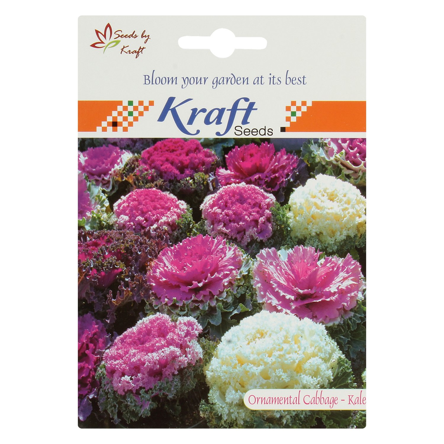 Kraft Seeds Ornamental Cabbage OR Kale Flower Seeds by KRAFT SEEDS (B00KOKXXVE) Amazon Price History, Amazon Price Tracker