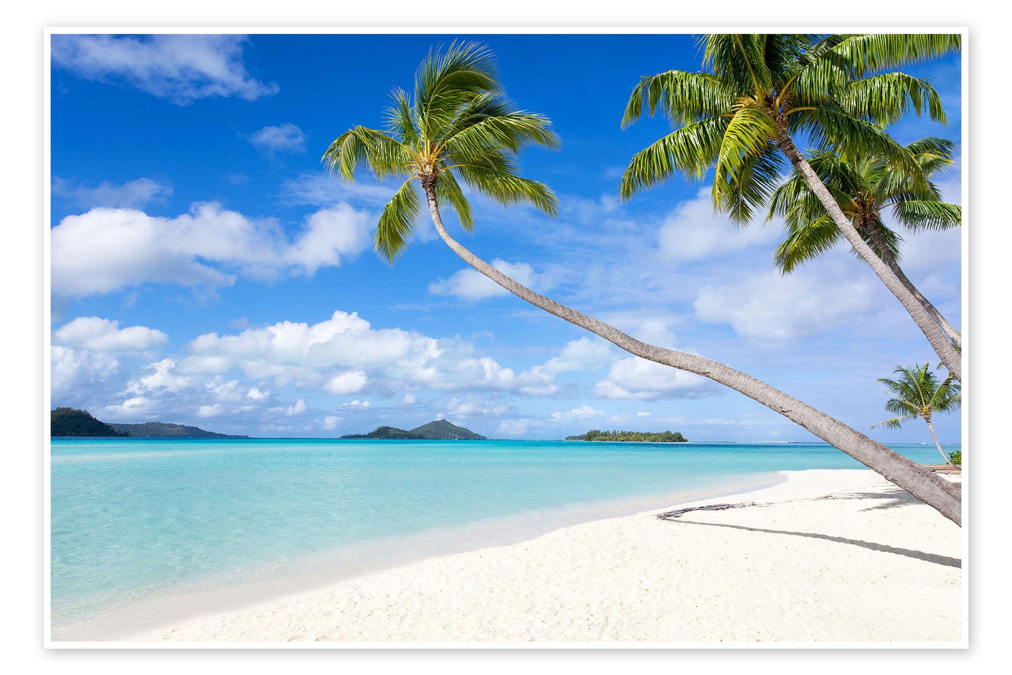 Posterlounge Plage blanche avec palmiers à Tahiti Poster