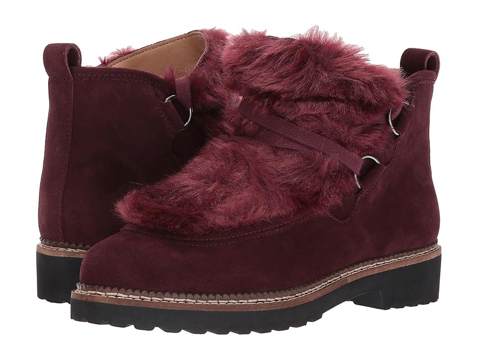 

Franco Sarto Highland (Burgundy Suede) Women's Shoes