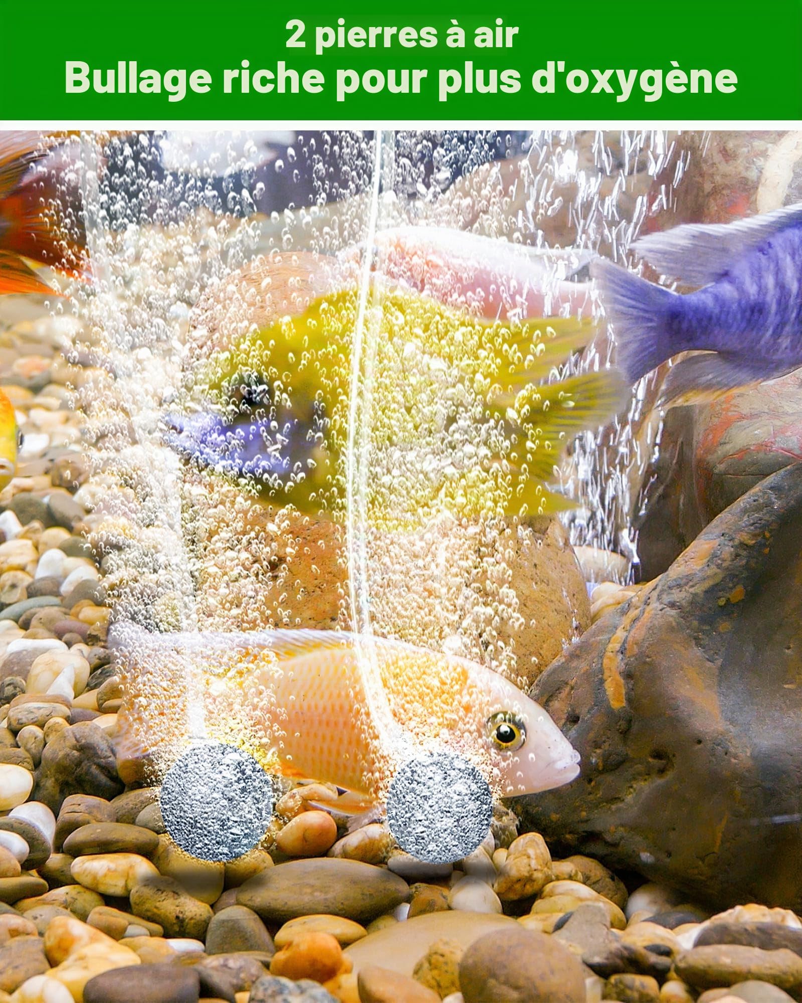 Biling Aérateur de Bassin Solaire 15W avec 4400mAh Batterie, Pompe à Air Solaire Double Sortie Fonctionne Jour et Nuit, Oxygénateur Étanche IPX5 pour Étang de Jardin, Aquarium, Bassin à Poissons