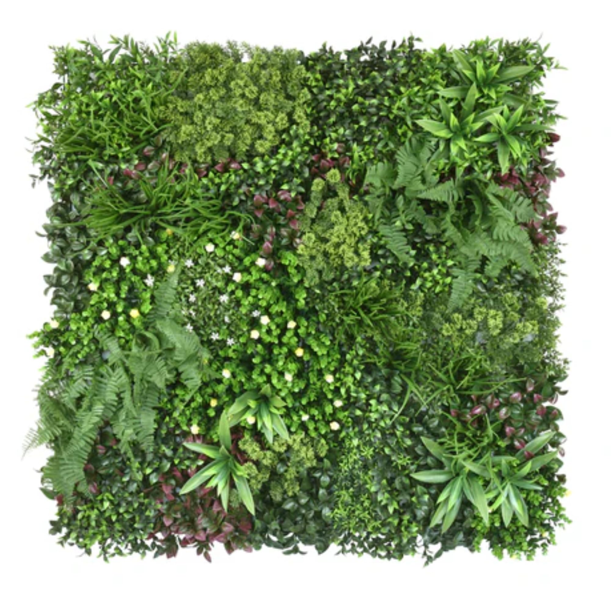 Floordirekt Ścianka dla roślin Wonderland 100 x 100 cm, sztuczna ściana z systemem zatrzaskowym, wierna naturalna, bez pielęgnacji zielona ściana, do użytku wewnątrz i na zewnątrz