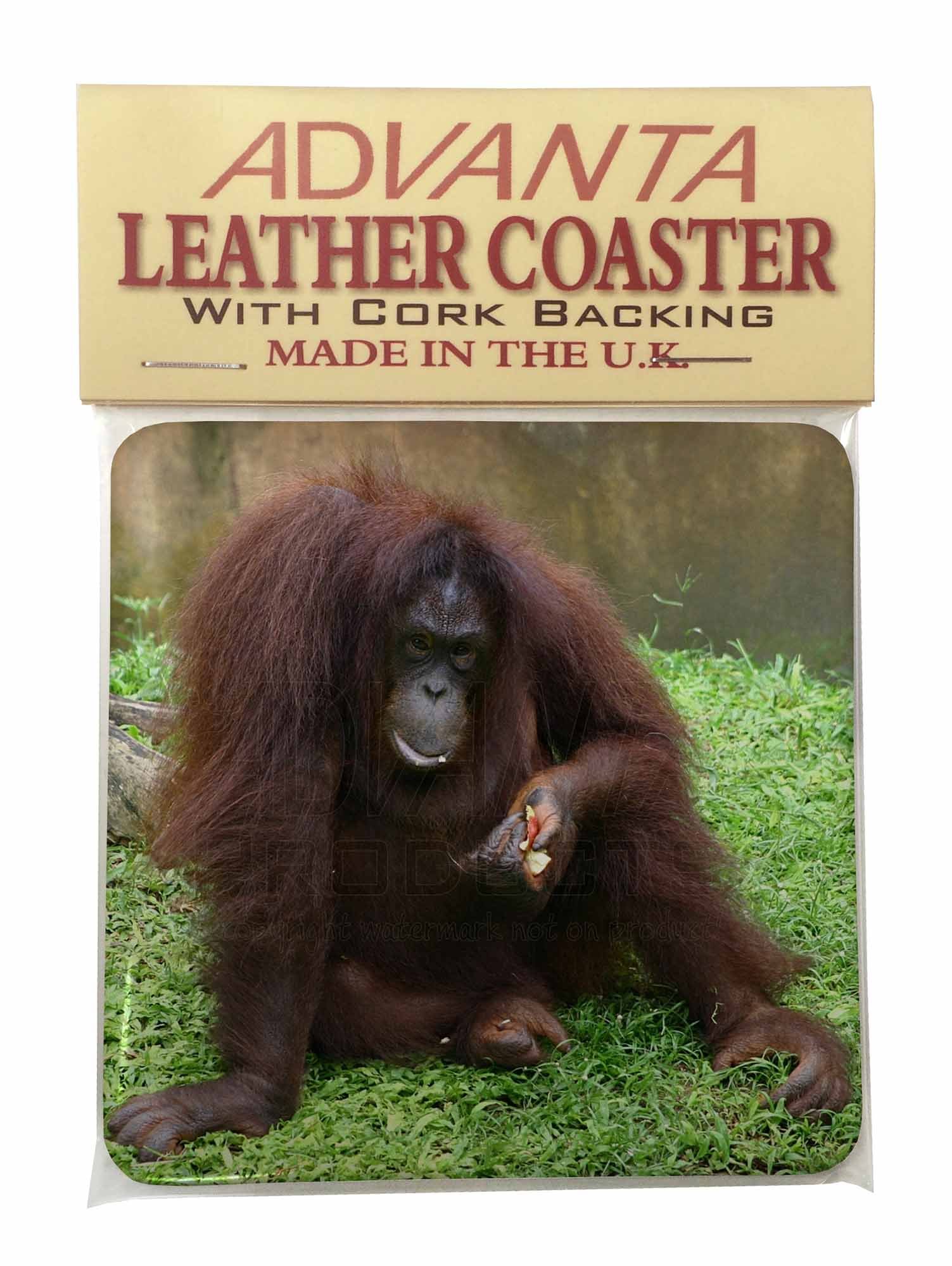Advanta GroupOrangutan Single Leather Photo Coaster Animal Breed Gift