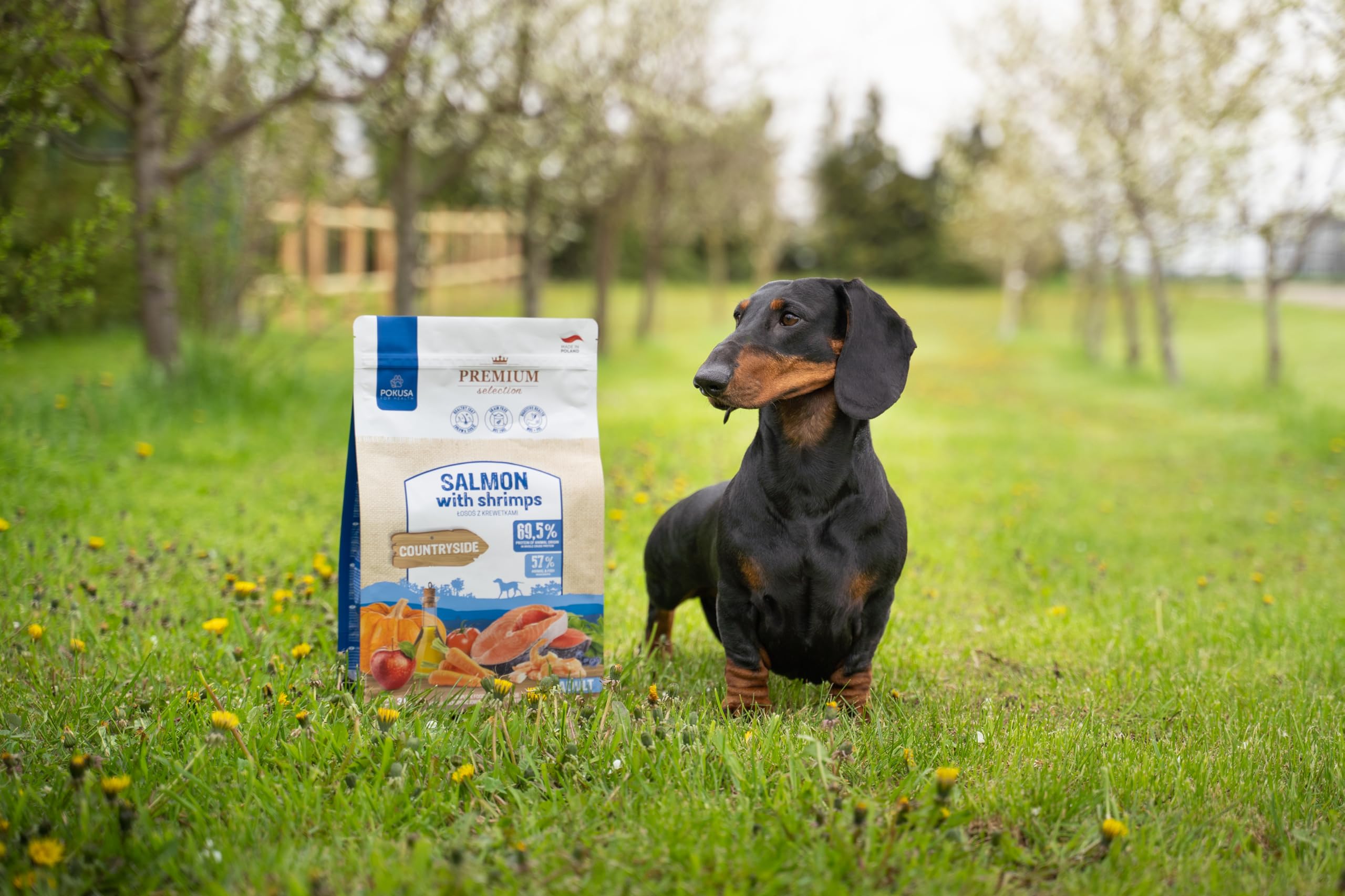 POKUSA Premium Selection | Sucha Karma dla Psa | Łosoś z Krewetkami | Bezzbożowa Karma Rybna dla Dorosłych Psów | Hipolergiczna, Bogata w Astaksantynę i Omega-3, Zdrowa Skóra (12 kg)
