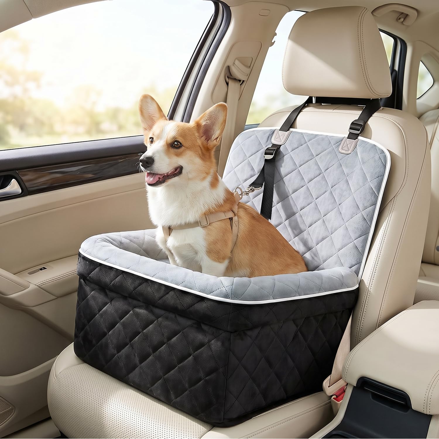 Eyein Dog Car Seat for Small Dogs, Dog Booster Car Seat with Safety Straps