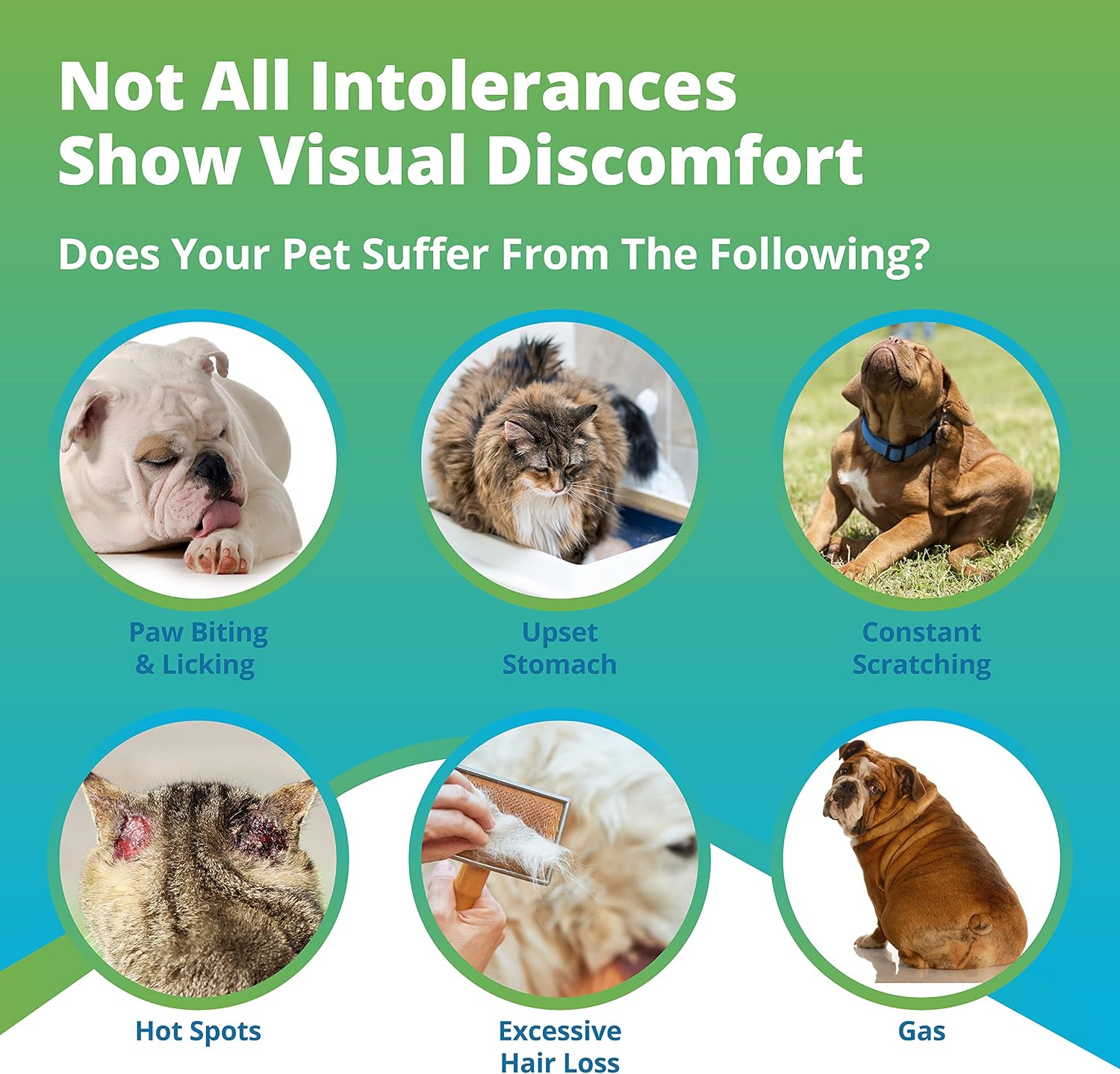 5Strands Pet Food Intolerance Test, at Home Sensitivity Test for Dogs & Cats, 270 Items, Hair Analysis, Accurate for All Ages and Breed, Results in 7 Days - Protein, Grain, Preservatives