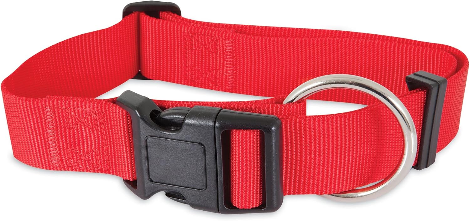 Petmate Aspen Pet Products NYL Adjustable Collar, 2030' x