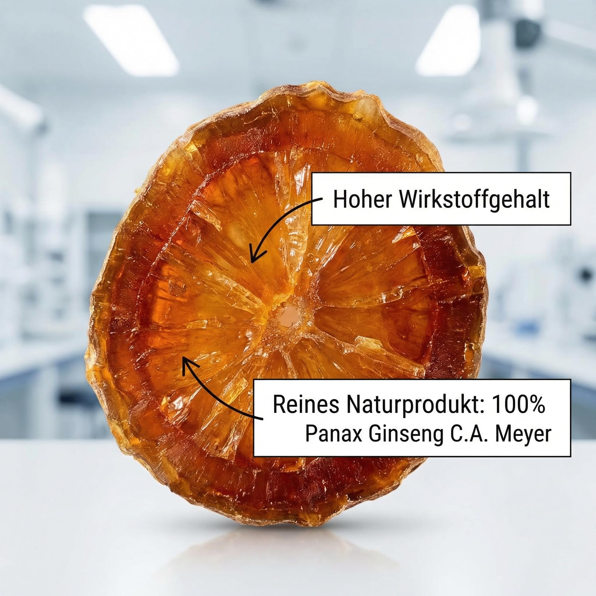 JQ Roter Ginseng Wurzel, getrocknet & geschnitten, 100g, 6 Jahre | Panax Ginsengwurzel, Scheiben 1-2cm · Naturbelassen ohne Zusätze · Asiatische Kräuter für Aufguss & Wohlbefinden · Vegan