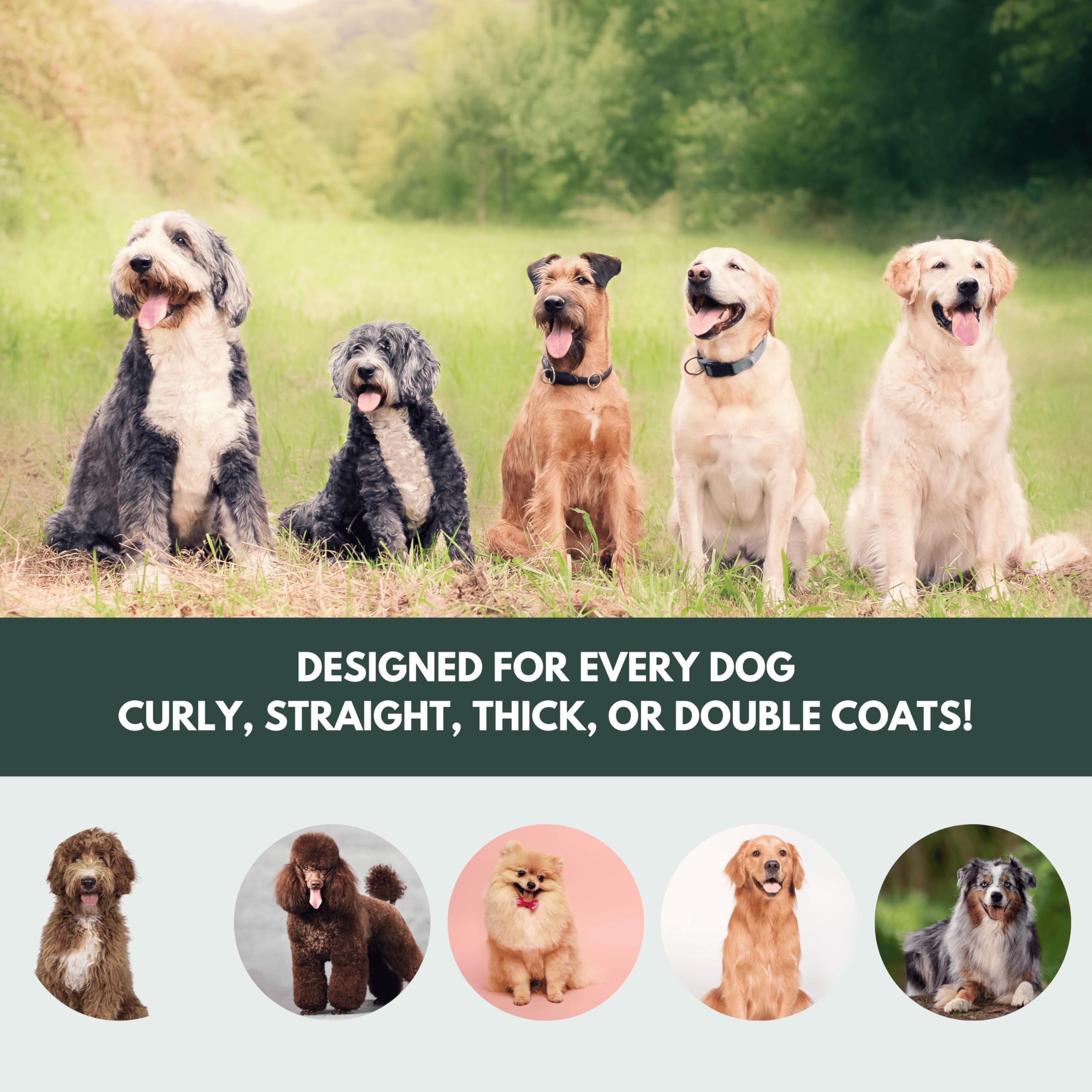Cepillo de aseo prémium para perros – Cepillo de aseo para perros de pelo largo – Goldendoodle, Labradoodle, Caniche y garabato dorado – Ideal para cabello ondulado y rizado – Desenreda y