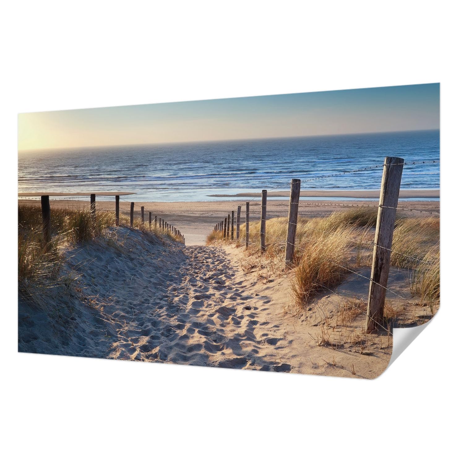 Décor mural adhésif résistant aux taches chemin de plage 416x254