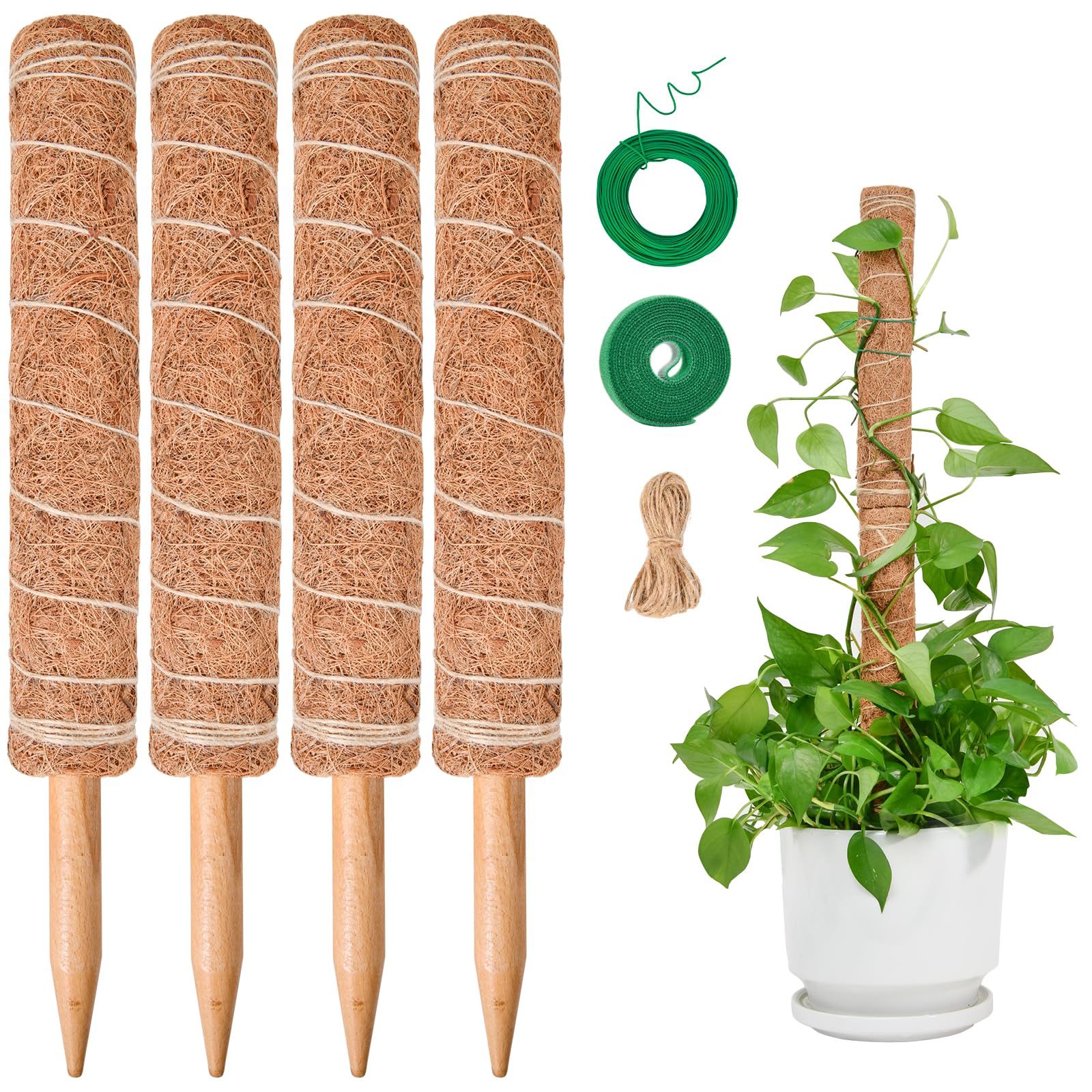 Supporti Per Piante Rampicanti TEGOVE - 4 Bastoni In Muschio Di Cocco Da 70cm Con Accessori | Per Pothos, Monstera E Piante Da Interno - Foto 4