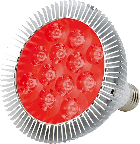 Bombilla LED para terapia de luz roja, 660 nm de color rojo profundo, clase 24W Bombilla LED para terapia de luz roja, 660 nm de color rojo profundo, clase 24W