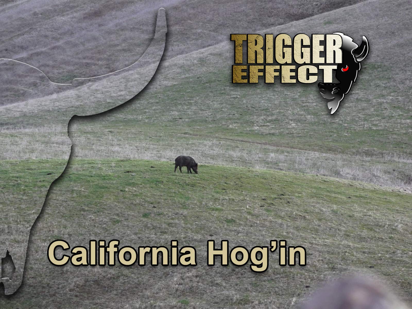 Watch Trigger Effect Prime Video
