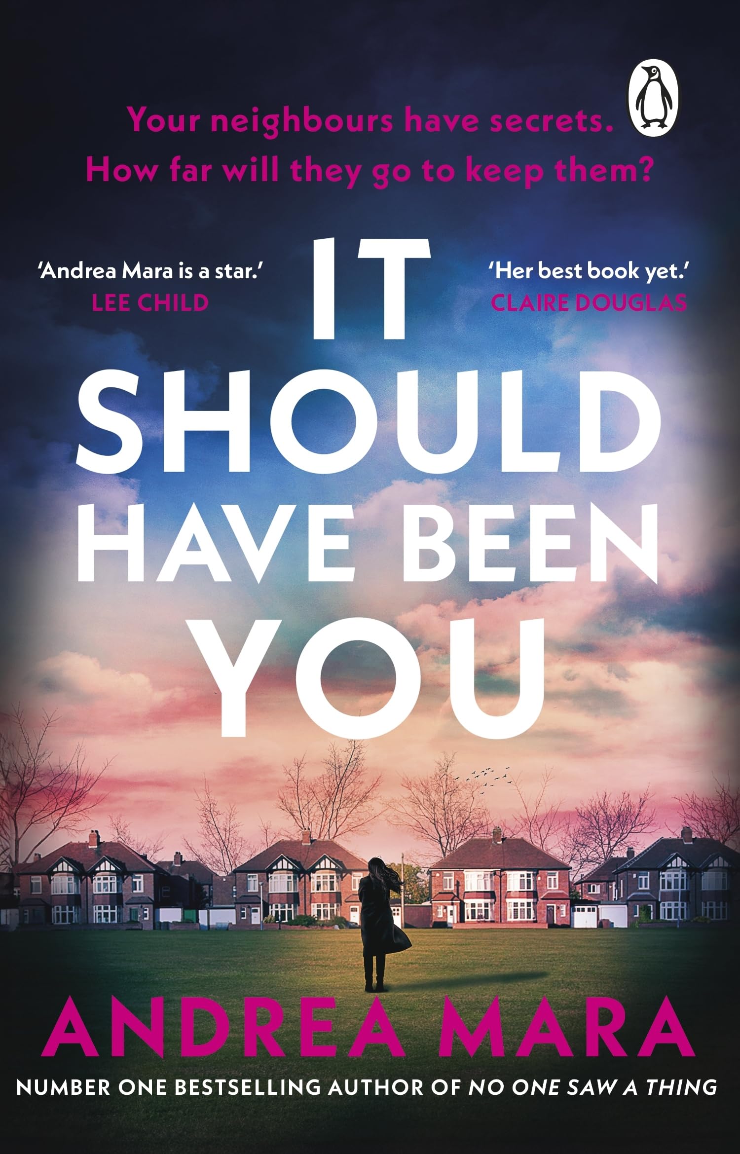 It Should Have Been You by Andrea Mara Paperback