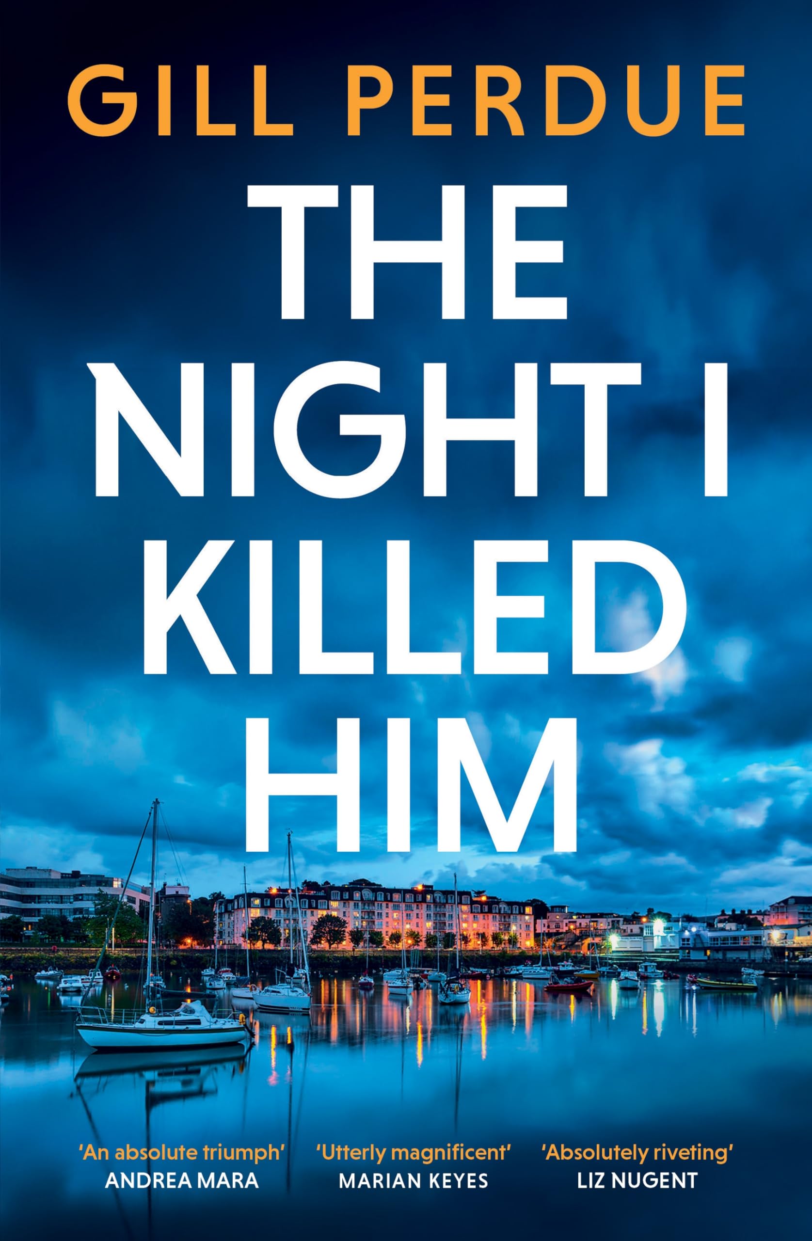 The Night I Killed Him: A gripping new thriller from the bestselling Irish crime writer