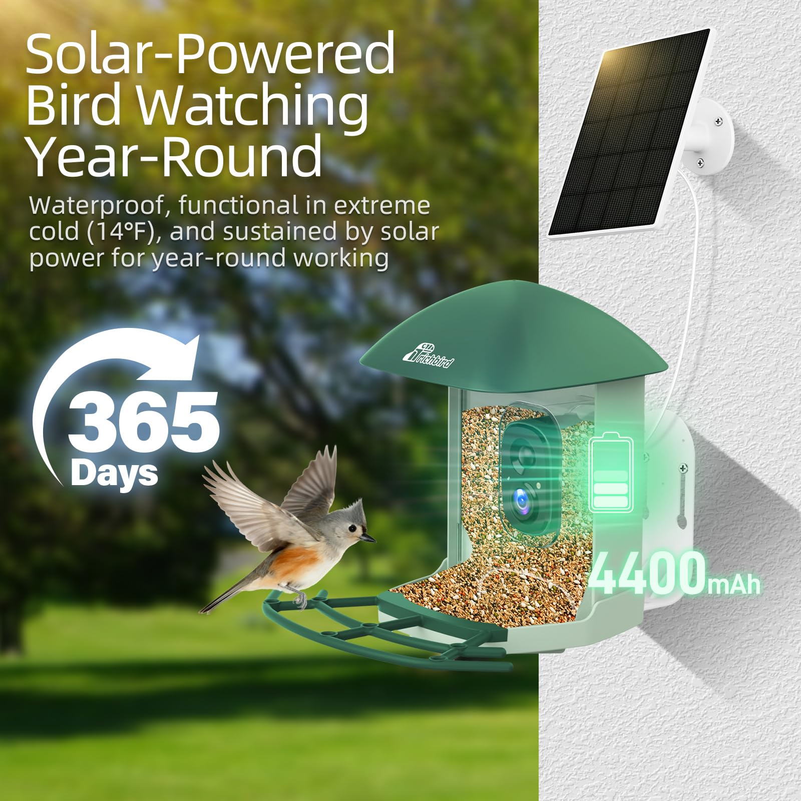 Comedero inteligente mejorado para pájaros con cámara HD 4K, cámara de observación de aves con IA para identificar pájaros y panel solar para exteriores, captura automática de video y notificaciones