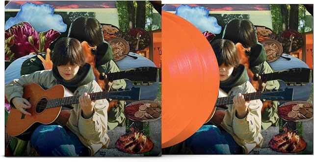 I Can See The Future por Leith Ross, capa do álbum
