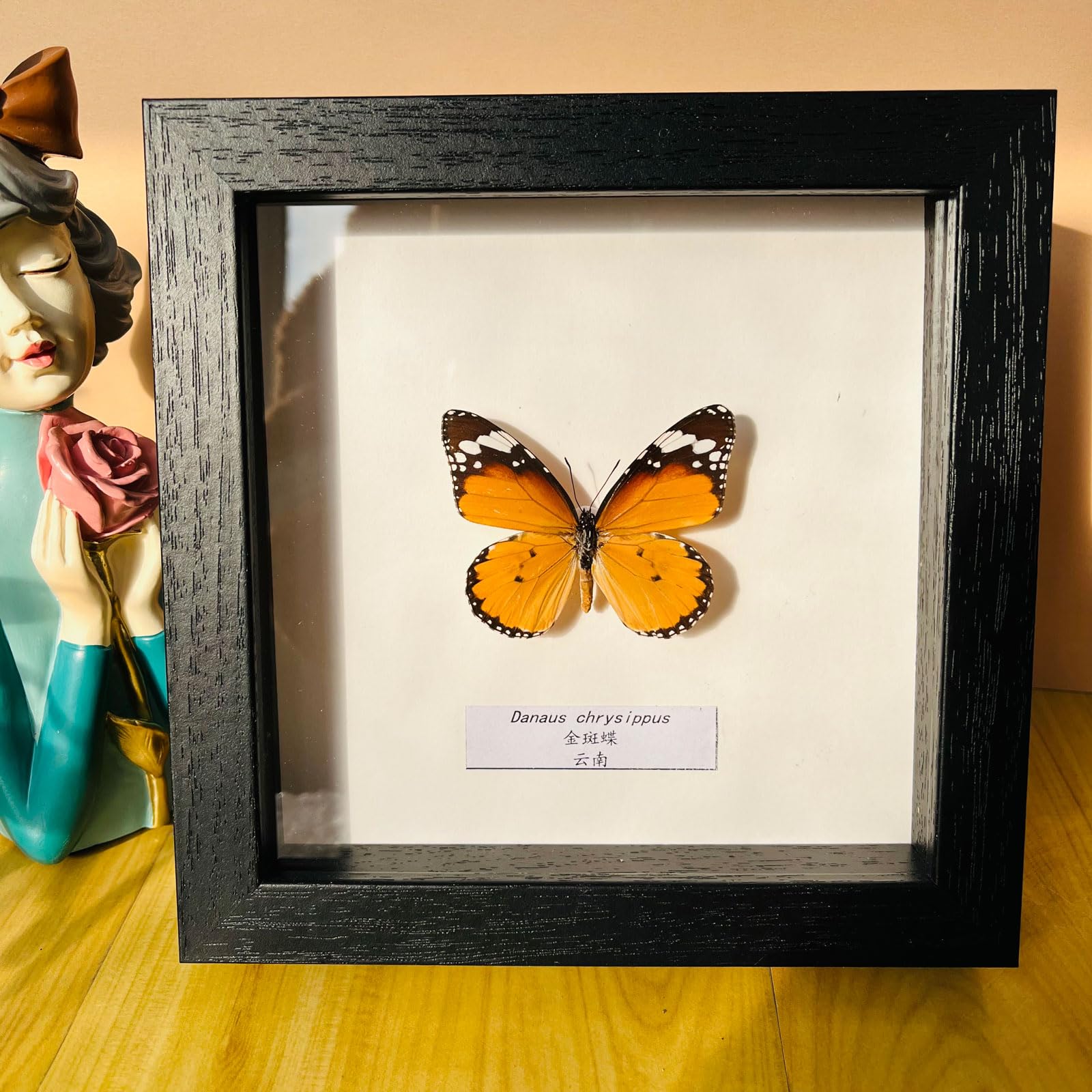 Guoyoocc 10 Taxidermy Mounted In Frame,Exquisite Butterflies Insect Specimen,Collection Of Butterfly,Unique Home Decor Wall Decoration Gift For Christmas Valentine Birthday,Real Butterfly Specimens17.6*17.6Cm